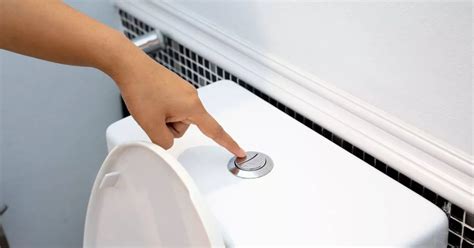 flush rivets|ITV's Dr Amir Khan warns of '5ft of bacteria' if you flush 'wrong'.